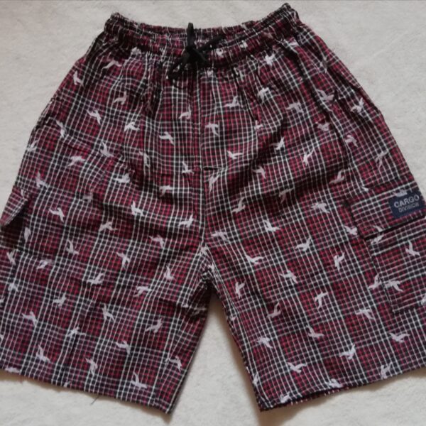 Boy's Short Pants. Size 16
