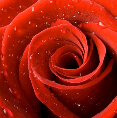 Tootoolbay
