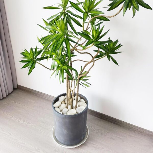 Alternative view of 2-3cm ,55 lbs. White River Rocks, Highly Polished Pebbles {AAA}