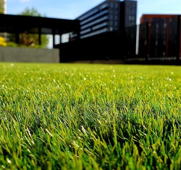 35MM {A} Artificial Turf 82ft x 6.5ft