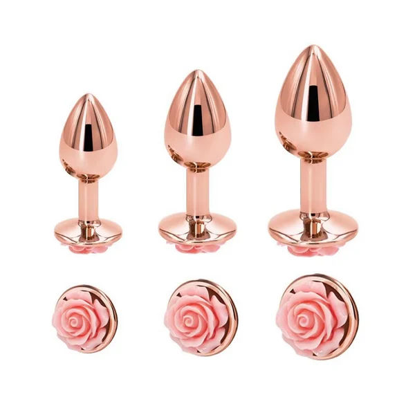 Rose Gold 3-Piece Anal Plug Set – Rose Jeweled Base in hard box