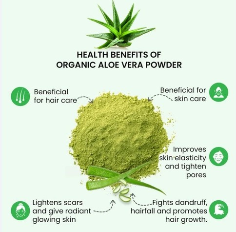 Alternative view of 1oz Aloe Vera Powder