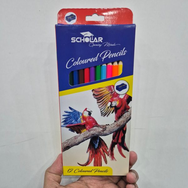 Scholar Opening Minds Colored Pencils
